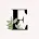 Eliana Chavez, Attorney at Law, LLC