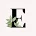 Eliana Chavez, Attorney at Law, LLC