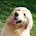 Hart Law Offices P.C.