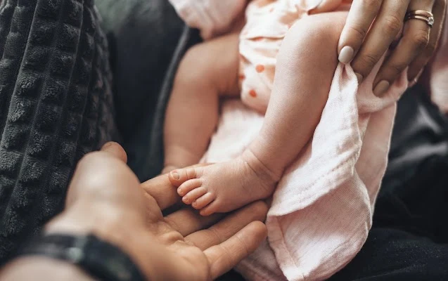 Oleaga Law - Fertility & Surrogacy Law Firm