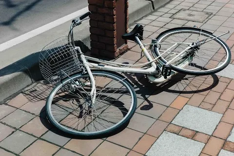Scherline Injury Law